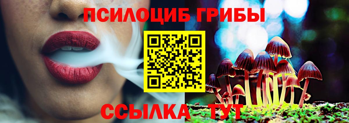 Псилоцибиновые грибы мухоморы  Вход с VPN  Черняховск  Псилоцибиновые грибы мицелий 